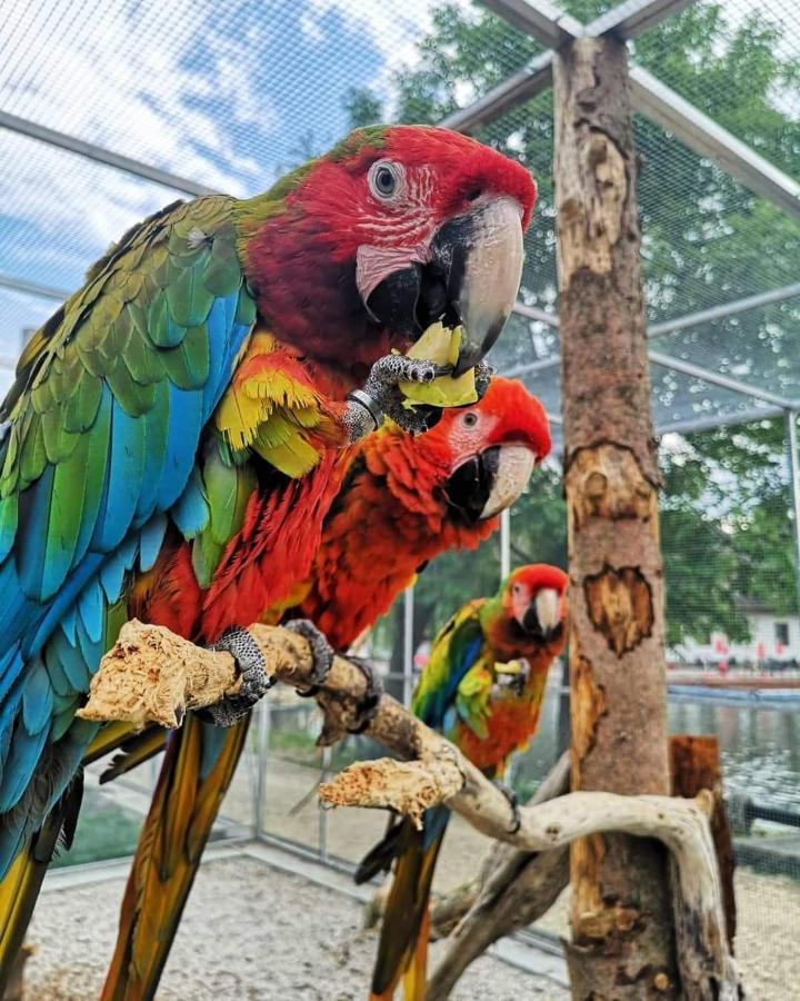 Penzion Eko Park Piestany Екстериор снимка